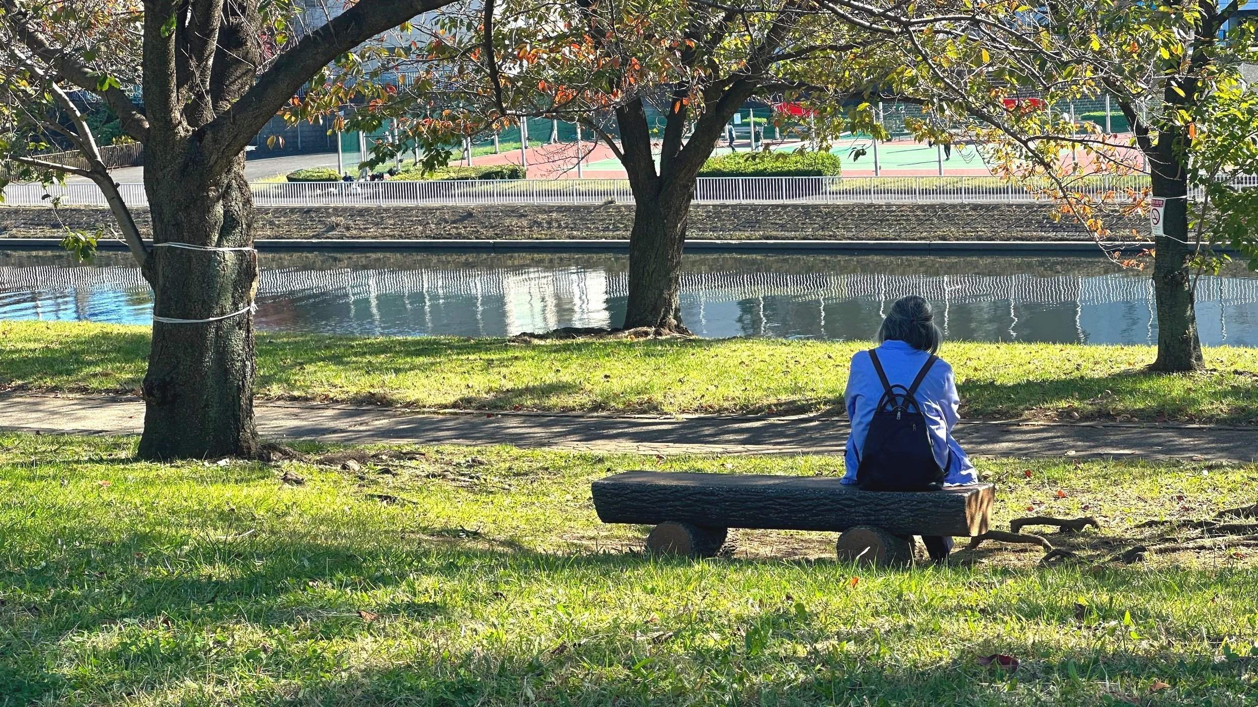 🌸 기타 구립 아라카와 아카바네 벚꽃 제방 녹지(키타쿠리츠 아라카와 아카바네 사쿠라즈츠미 료쿠치) 이미지 4